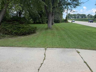 Lawn care service in Beloit, 53511