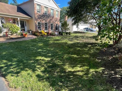 Lawn care service in Chantilly, 20151