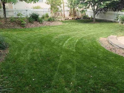 Lawn care service in Chapel Hill, 27517