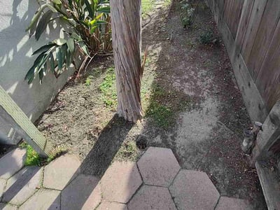 Lawn care service in , 