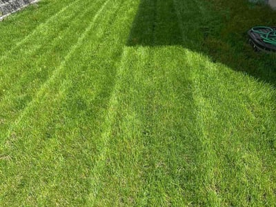 Lawn care service in Buffalo, 14214