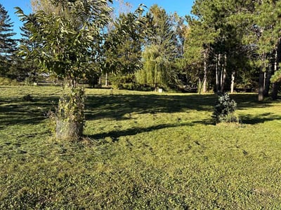 Lawn care service in Stillwater, 55082