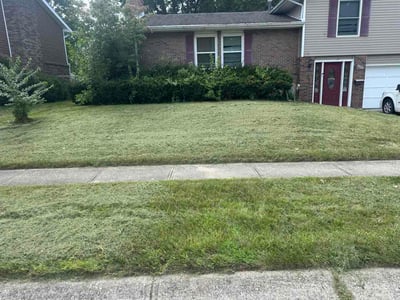 Lawn care service in Dayton, 45424