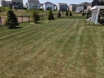 Lawn care service in Woodbury, 55129