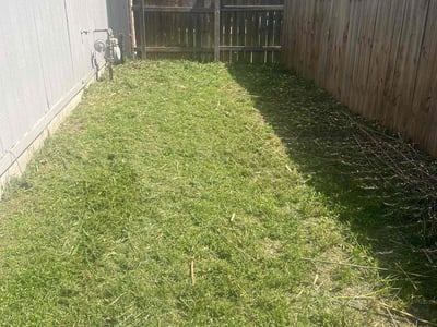 Lawn care service in Pflugerville, 78660