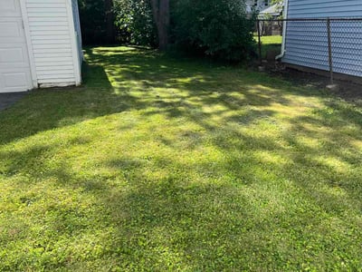 Lawn care service in Buffalo, 14215