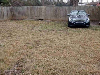 Lawn care service in Memphis, 38114