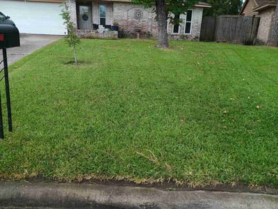 Lawn care service in Friendswood, 77546