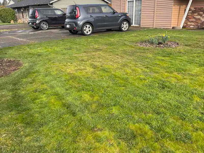 Lawn care service in Vancouver, 98662