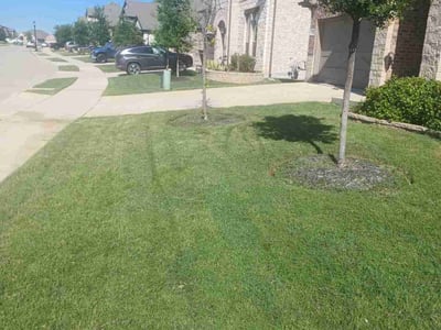 Lawn care service in Argyle, 76226