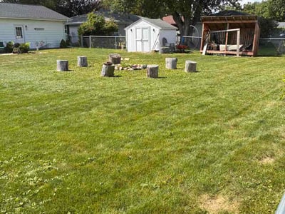 Lawn care service in Appleton, 54915