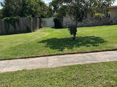 Lawn care service in Orlando, 32810