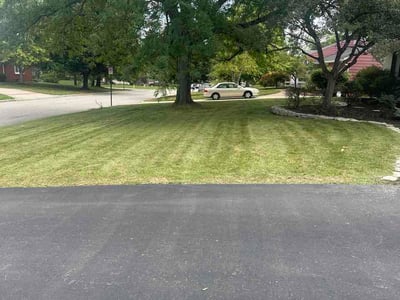 Lawn care service in Columbus, 43221