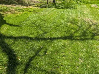 Lawn care service in Saint Paul, 55119