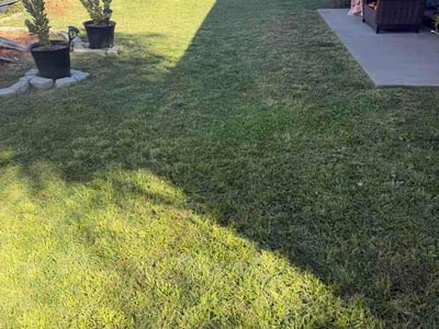 Lawn care service in Whittier, 90605