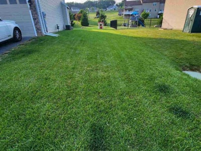 Lawn care service in Mechanicsburg, 17055