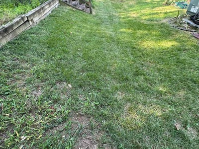 Lawn care service in Alexandria, 22312