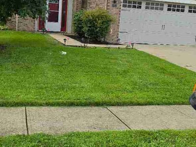 Lawn care service in Indianapolis, 46228