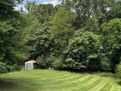 Lawn care service in Lynchburg, 24501