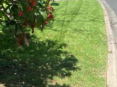 Lawn care service in Austin, 78704