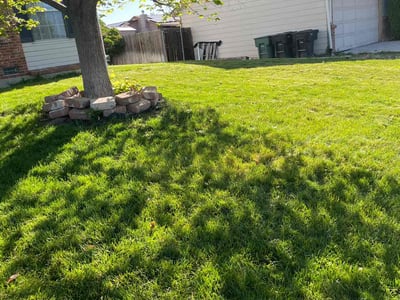 Lawn care service in Thornton, 80229