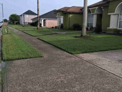 Lawn care service in New Orleans, 70128