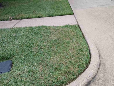 Lawn care service in Katy, 77450
