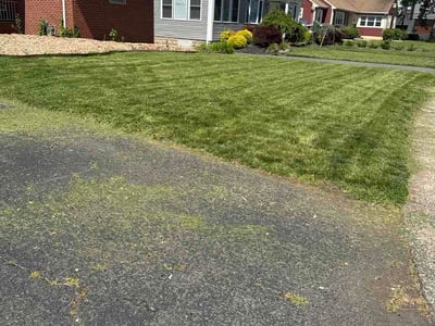 Lawn care service in Elizabeth, 07208