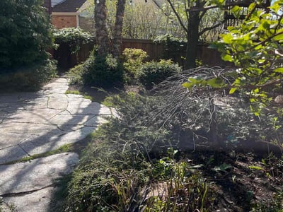 Lawn care service in Highland Park, 60035