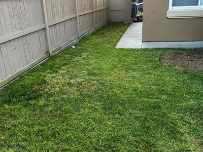 Lawn care service in San Diego, 92124