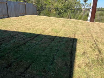 Lawn care service in Houston, 77047