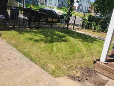 Lawn care service in Dallas, 75203