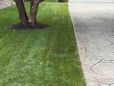 Lawn care service in Essex, 21221