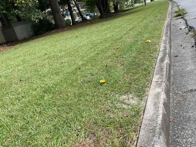Lawn care service in Lithia Springs, 30122