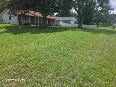 Lawn care service in Inverness, 34453