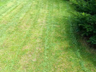 Lawn care service in Des Moines, 50320