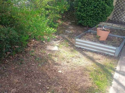 Lawn care service in Asheville, 28806