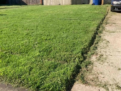 Lawn care service in Cabot, 72023
