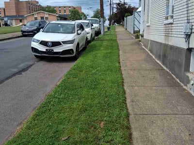 Lawn care service in Wilkes-Barre, 18702