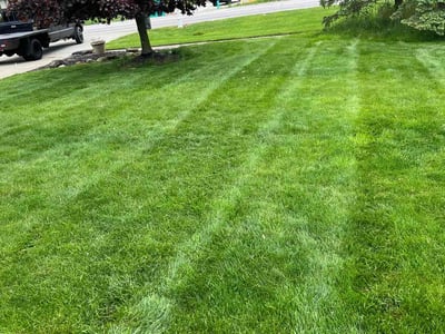 Lawn care service in Avon Lake, 44012
