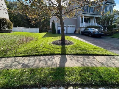 Lawn care service in Burlington Township, 08016