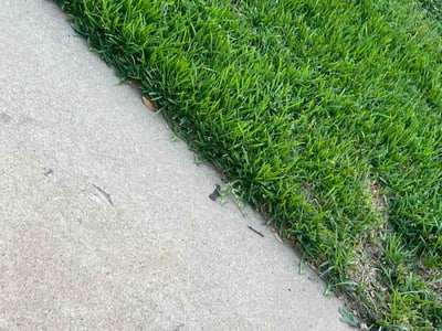 Lawn care service in Houston, 77018