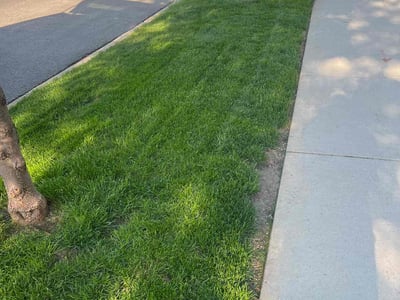 Lawn care service in Chicago, 60615