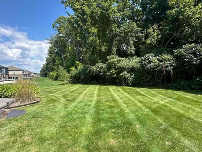 Lawn care service in South Lyon, 48178