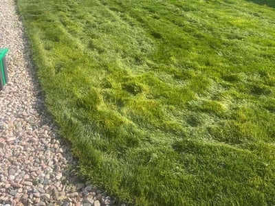 Lawn care service in Timnath, 80547