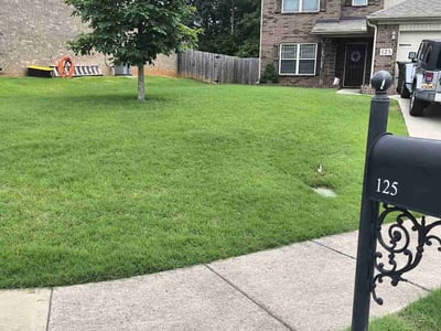 Lawn care service in Madison, 35758