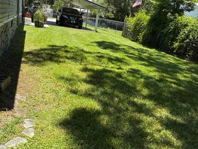 Lawn care service in Lakeland, 33805