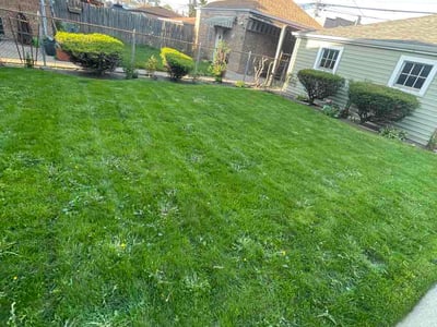 Lawn care service in Chicago, 60639