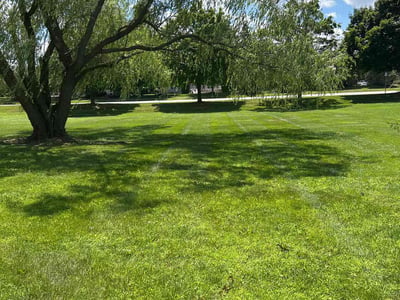 Lawn care service in Plymouth, 48170