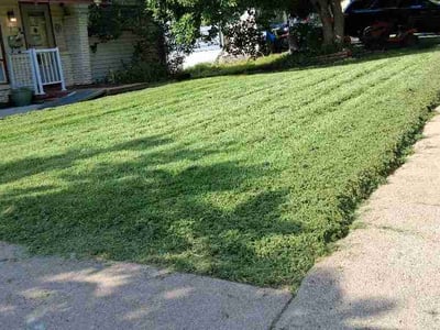 Lawn care service in Bellevue, 68005